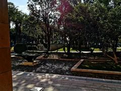 -三亚海棠湾万丽度假酒店