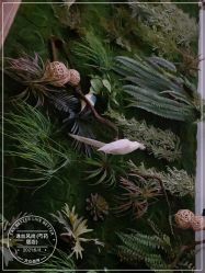 -逸丝风尚