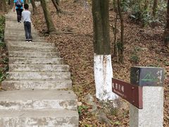-广州市帽峰山景区