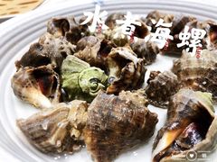 水煮海螺-真味海鲜坊