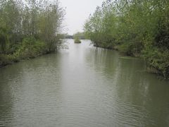 -溱湖国家湿地公园