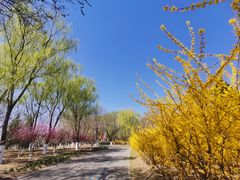 -永定河休闲森林公园