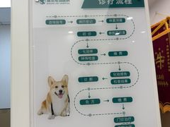 -瑞派康怡24h宠物医院·犬猫医疗中心·微创绝育(瑞景分院)