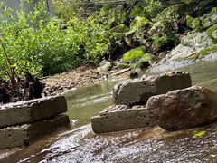 -香炉山国家森林公园