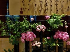 -北京四季酒店
