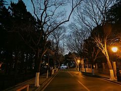 -八大关景区