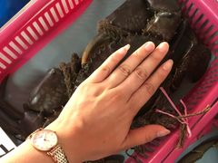 -龙海鲜螃蟹王(宏茂桥店)