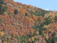 景点-木兰围场
