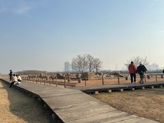 -盘龙城国家考古遗址公园