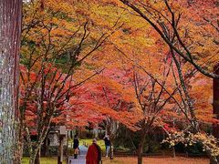-三千院