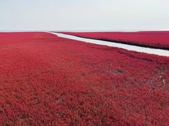 -红海滩国家风景廊道