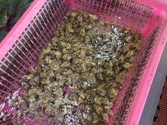 -众味海鲜大排档·活海鲜·潮汕味(南澳店)