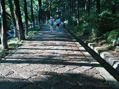 -峙山公园