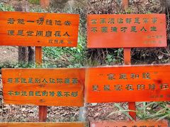 -寂照庵