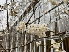 -黄龙溪欢乐田园