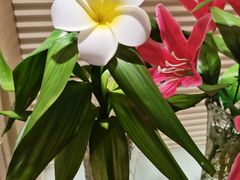 -博士眼镜(东莞东湖花园店)