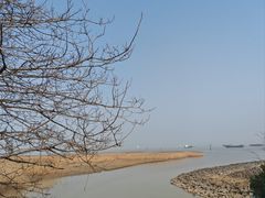 -上海吴淞炮台湾国家湿地公园