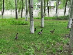 -中家鑫园温泉酒店鑫悦汤泉