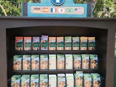 -奥兰多迪士尼动物王国乐园