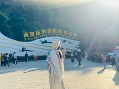 -西双版纳原始森林公园