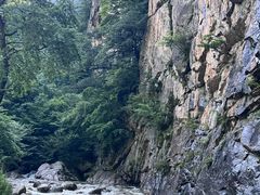 -青峰峡国家森林公园