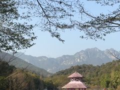 -田野绿世界