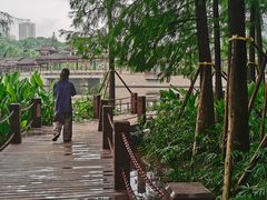 -重庆彩云湖湿地公园
