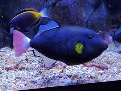 -成都浩海立方海洋公园