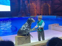 -哈尔滨波塞冬海底世界