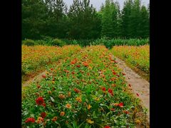 -艾溪湖湿地公园