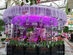 -百万葵园