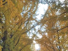 -辽东学院(南校区)