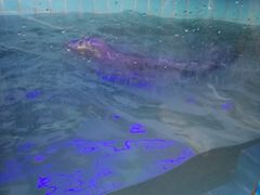 -大明湖海底世界