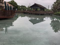 -浦鸿会游泳健身中心·Ambassy Club PD(金桥碧云国际社区店)