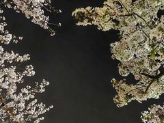 -龙美术馆(西岸馆)