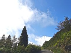 -武陵山森林公园
