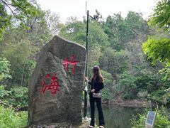 -波尔登森林公园