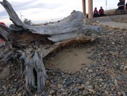 -空中一号宴会厅(信合大厦店)