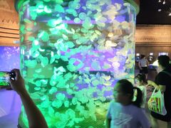 -华夏文旅西安度假区