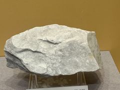 -湖南省地质博物馆