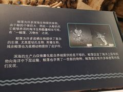 -凯司令西点房(虹桥路站店)