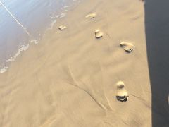 iphone_upload_pic-黄金海岸