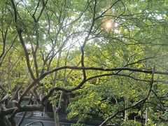 -中国美术学院-美术馆