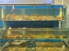 -仙螺岛海鲜自助餐厅(总店)