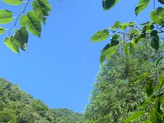 -西岭雪山大飞水景区