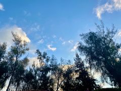 -宝安西湾红树林湿地公园