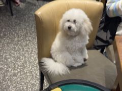 -永红源啤酒·烧烤·海鲜·大排档(青特城店)