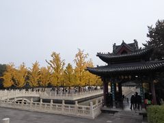 -晋祠公园