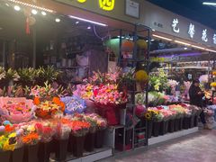 -大自然花鸟鱼虫市场