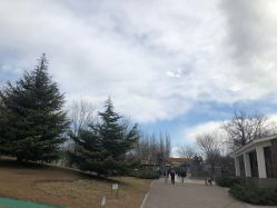 -大望京儿童游乐场